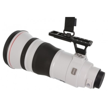 with QD-Adapter